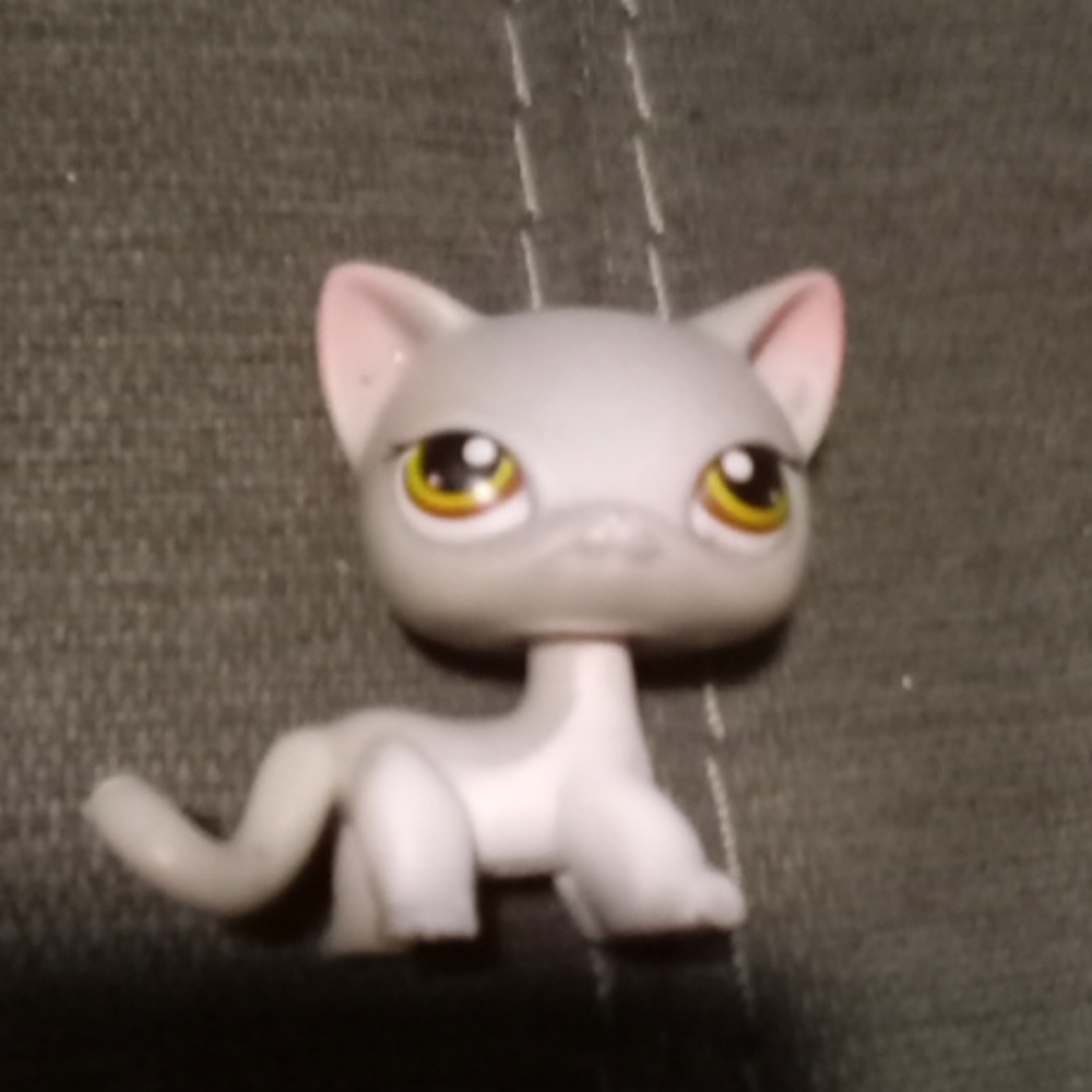 LPS shorthair cat